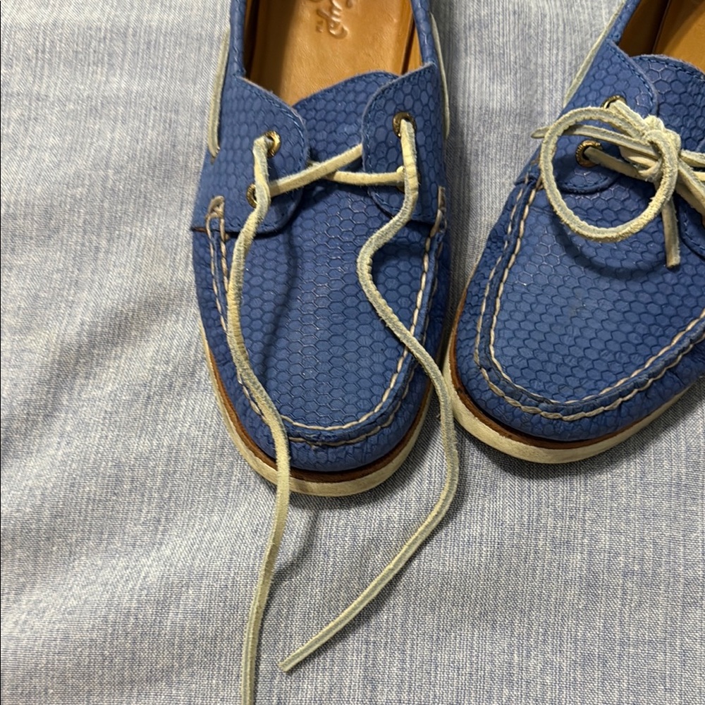 Sperry Blue Loafers with Cream Laces - Picture 11 of 12